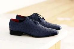 Pelle Exotics Ostrich Quill Lace-Up Oxford Blue